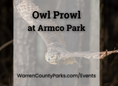 great horned owl flying through the air